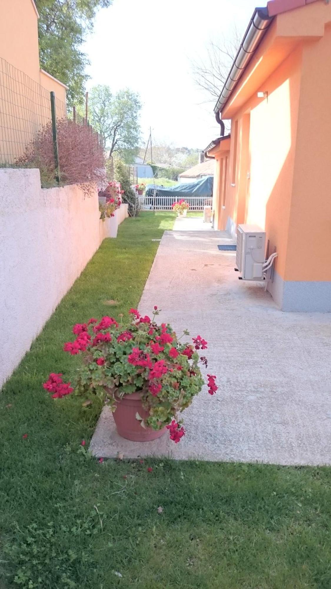 Apartment Shankini Pula Exterior photo